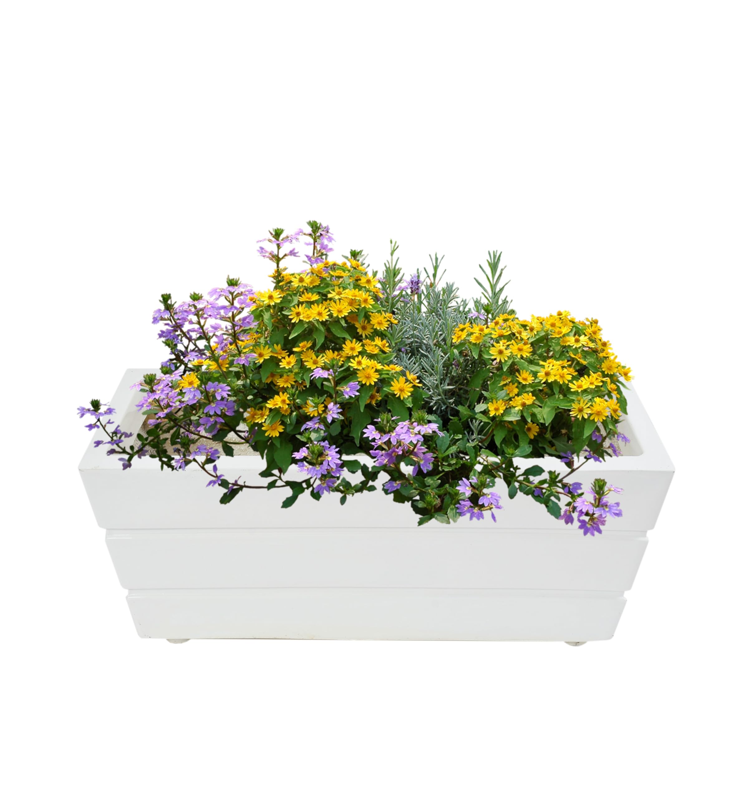 Gardenix Decor Global Trade & Utility Product Fibreglass Frp Big Size Planter Gamla Planter For Living Room Indoor Outdoor Balcony And Gardening,Size Height:10 Inch,Width:10 Inch,Length:24 Inch,White (B0CMTT4B54) Amazon Price History, Amazon Price Tracker