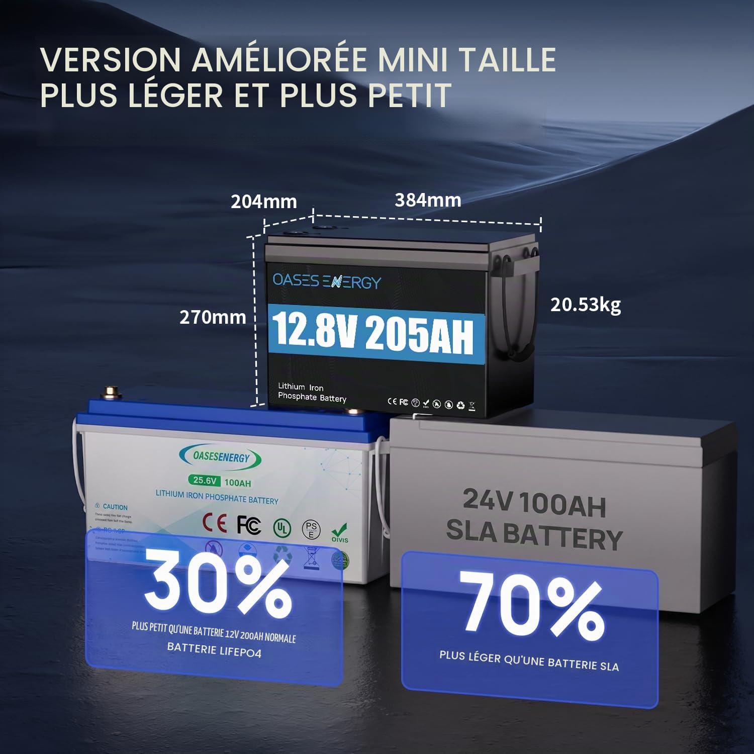Bluetooth 12V 200Ah(205Ah) LiFePO4 Batterie, BMS 200A amélioré, jusqu'à 15000 Cycles, Batterie au Lithium 2624Wh, pour Les systèmes solaires Camping-Cars, caravanes, Bateaux, Camping