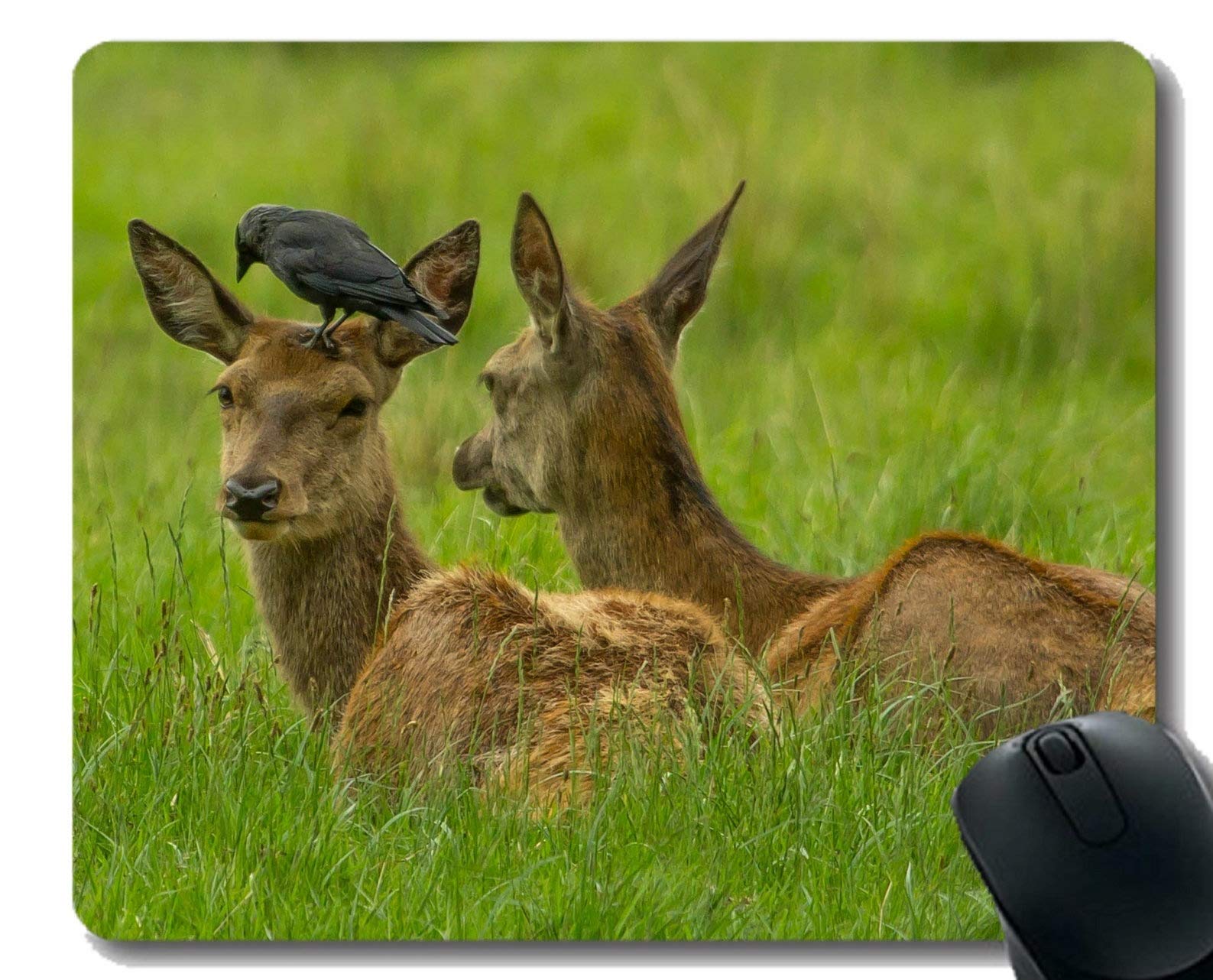 Mouse Pad,Game Wild Nature -Stitched Edges