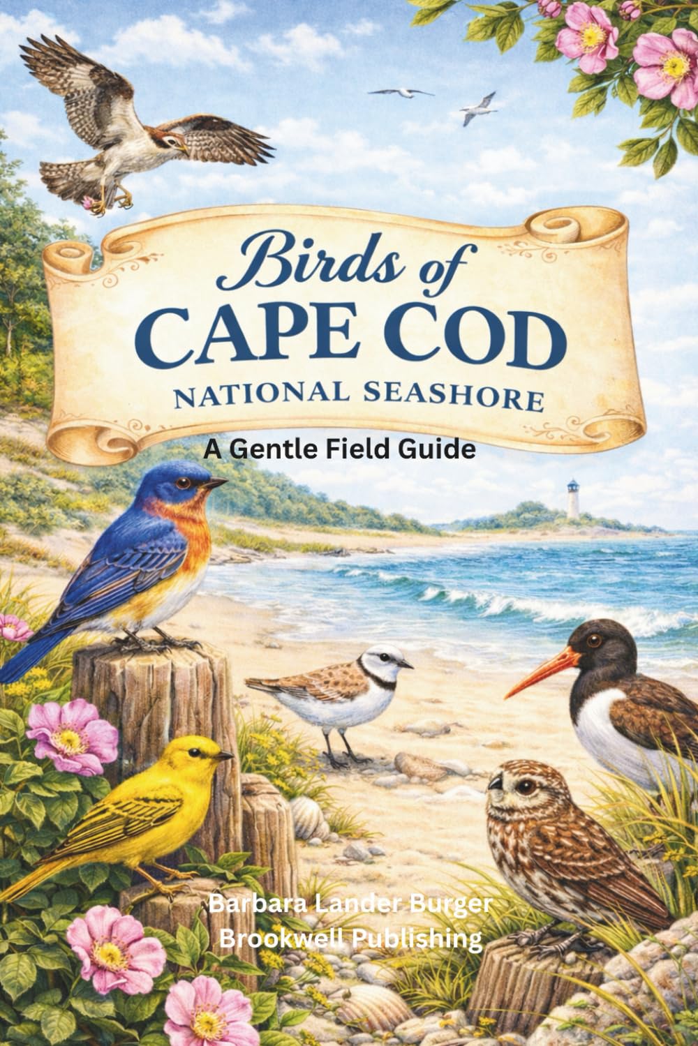 Birds of Cape Cod National Seashore