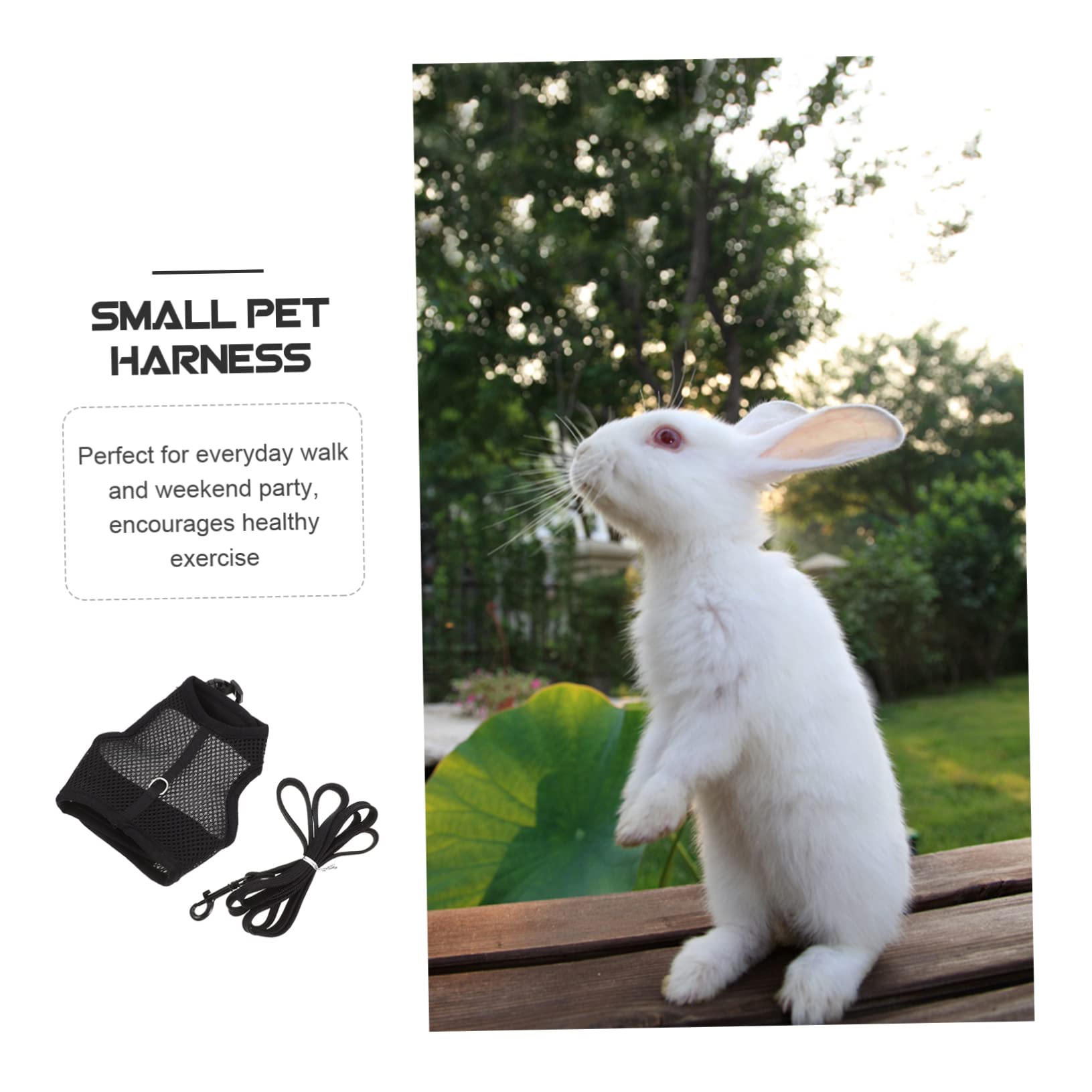 Ferret Harness And Lead Set Royal Blue - Marshall Pet Products – Flower Town S