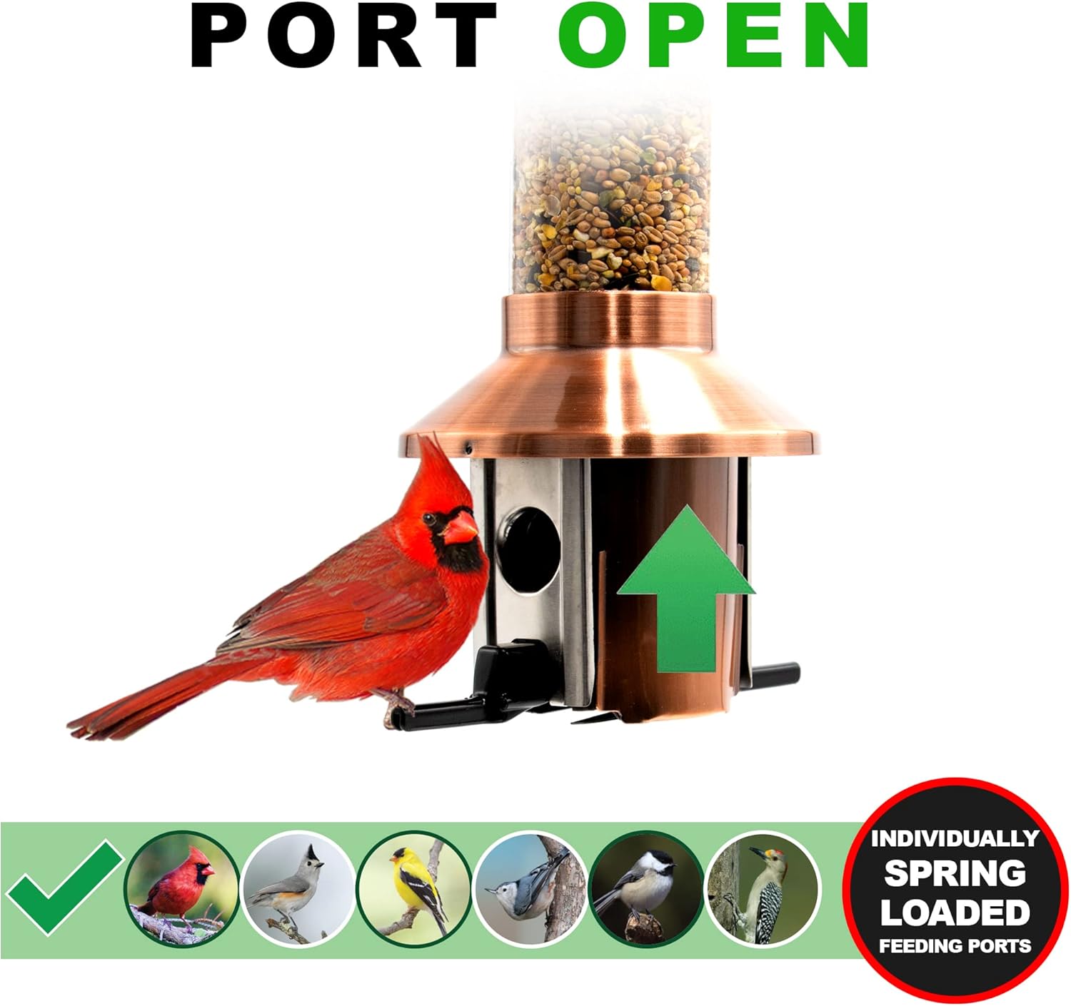 Roamwild Squirrel Proof Wild Bird Feeder Mixed Seed Sunflower Heart Version – Antique Copper - 3LBS Seed Capacity – 21”x8”x8” (w/Hanger) : Patio, Lawn & Garden