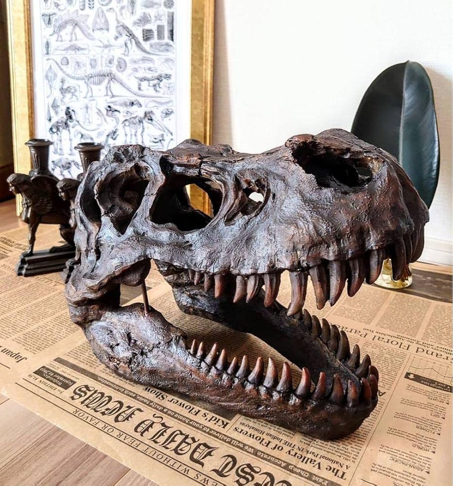 トリケラトプス インテリア オブジェ 雑貨 恐竜の化石 ジュラシックワールド Amazon.co.jp: ティラノサウルス インテリアオブジェ 恐竜の化石