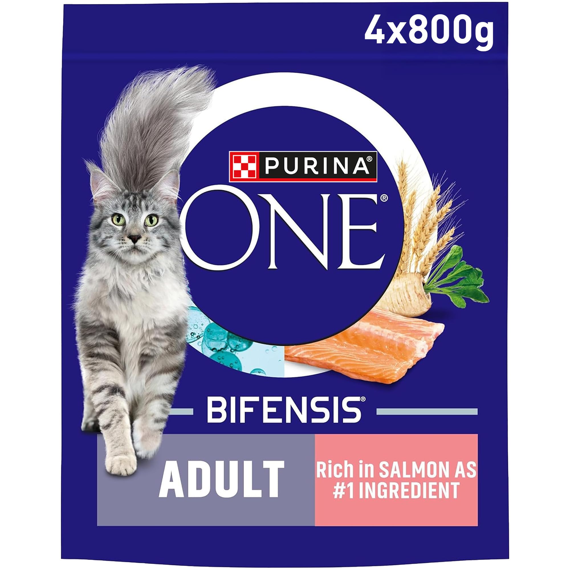 PURINA ONE Salmon Dry Cat Food 800g (Pack of 4)