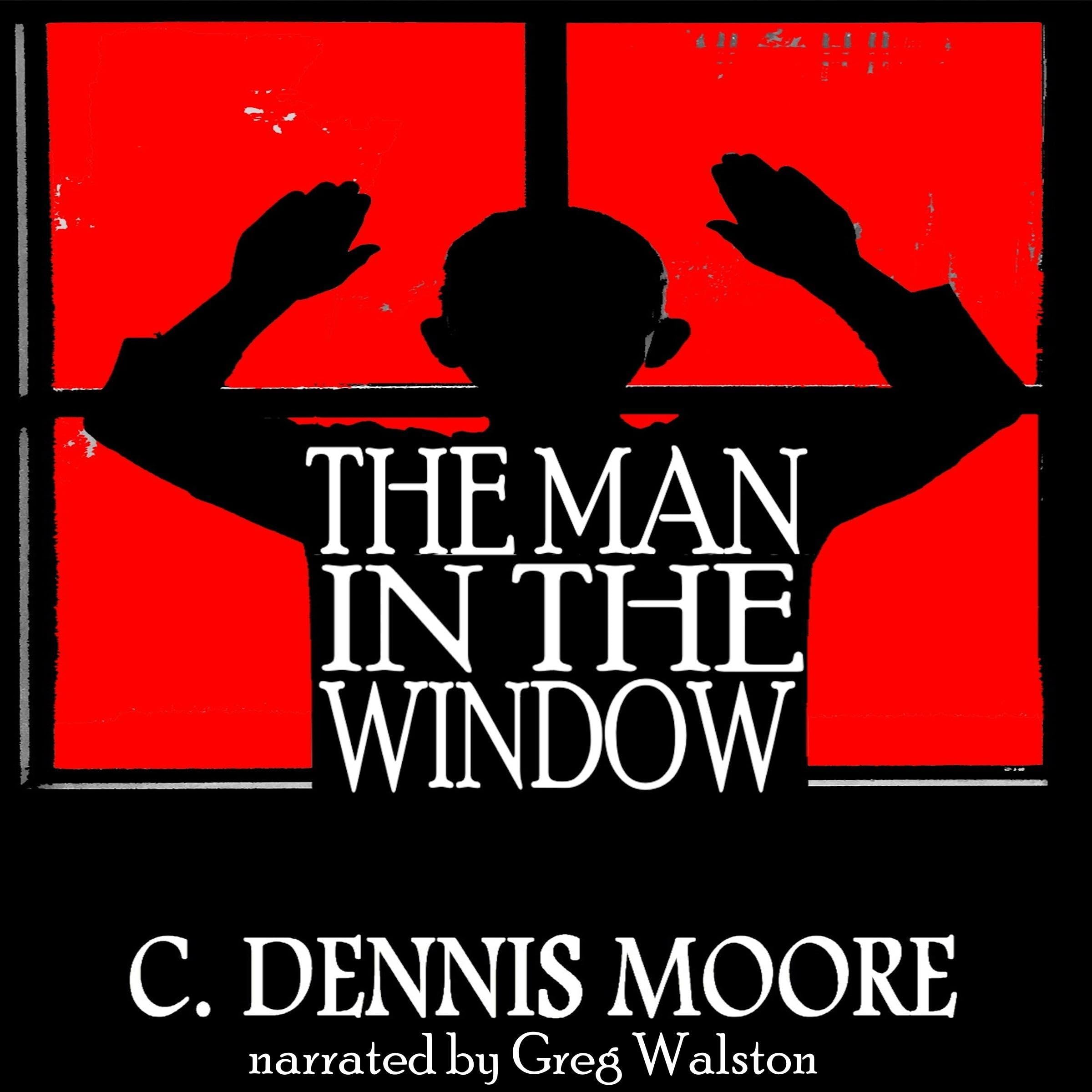 Cover art for The Man in the Window