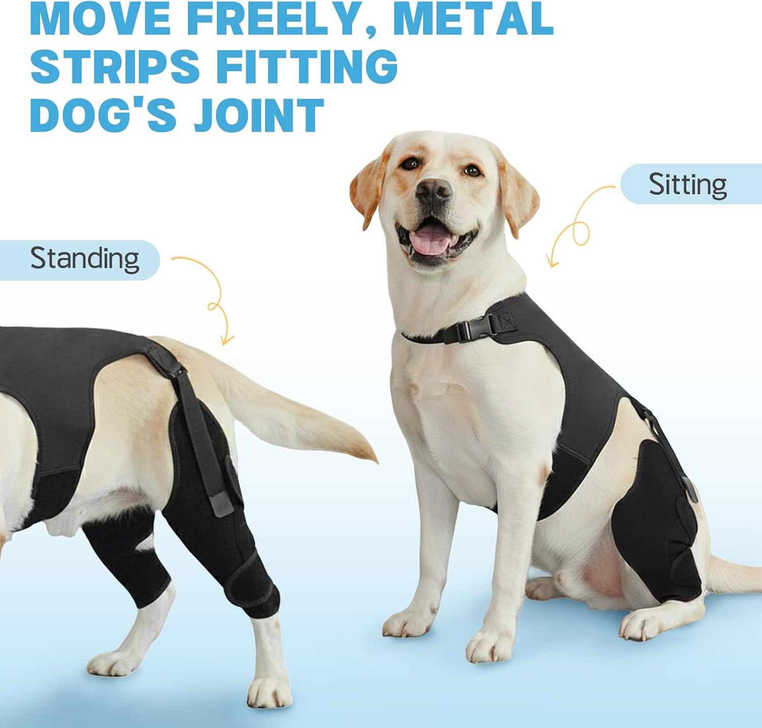 Dog Knee Braces for Back Leg, Adjustable Leg Brace with 2 Stabilizers, Hip Support to Reduces Pain, Ligament Injuries, ACL CCL & Luxating Patella for Small Medium Large Dogs, S