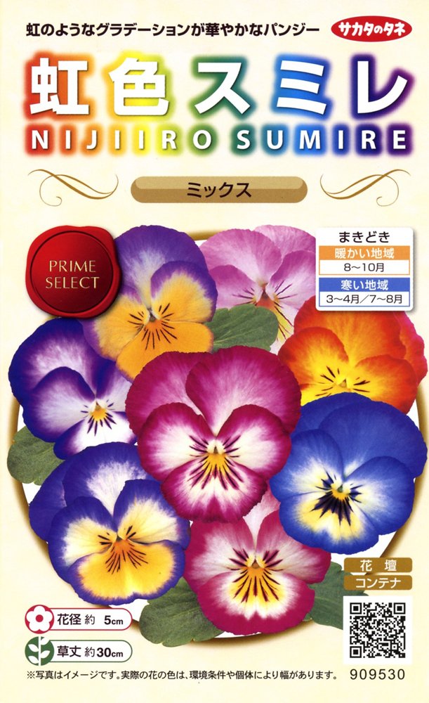 Amazon | サカタのタネ 実咲花9530 虹色スミレ ミックス 00909530 | 花