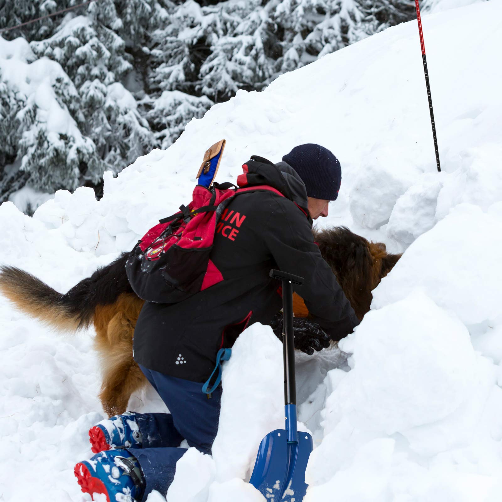 ALPIDEX Pelle Neige Telesopique Aluminium Sonde Avalanche