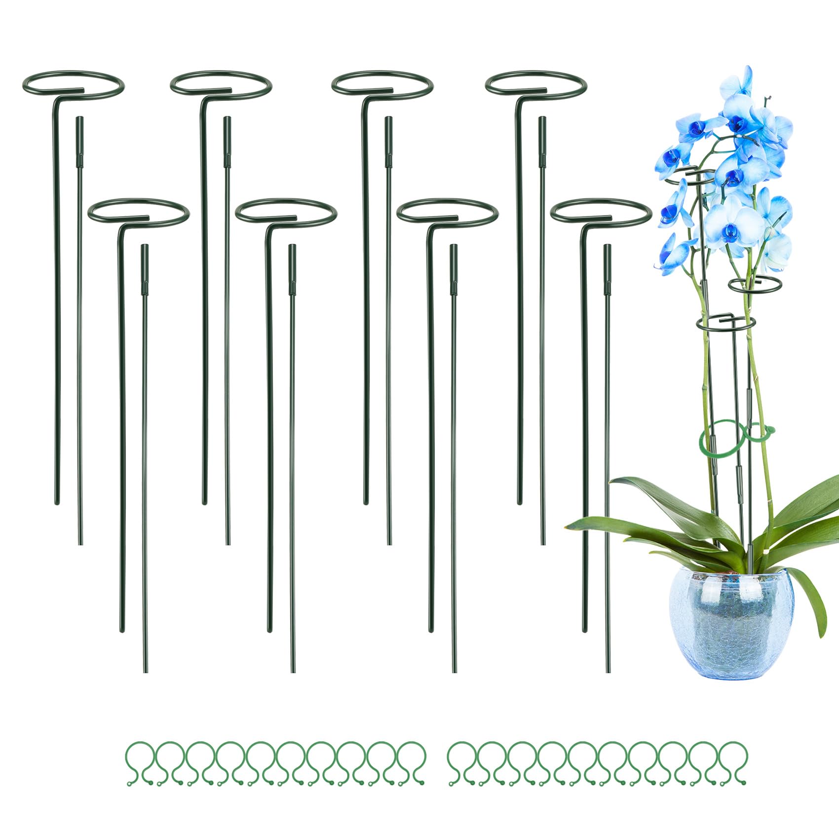 Piquets de support pour plantes contre la casse des tiges d'orchidées