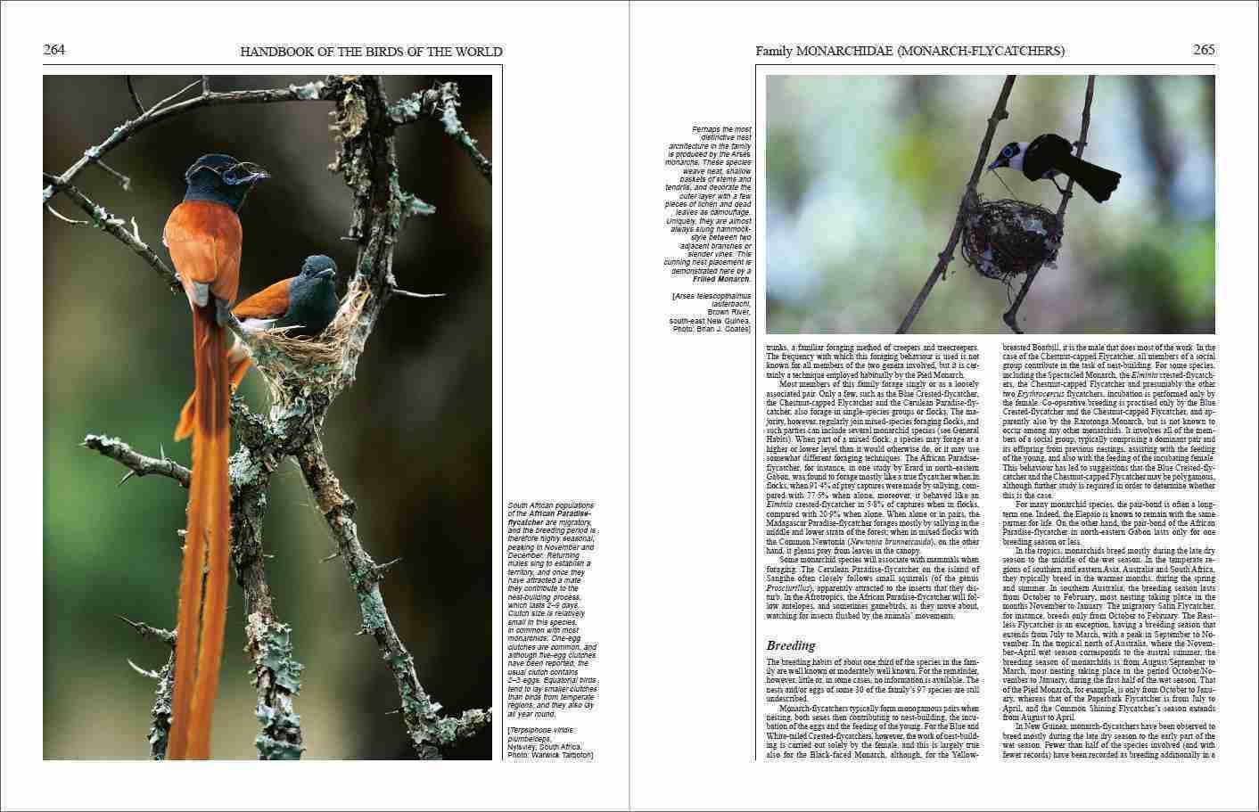 Handbook of the Birds of the World – Volume 11: Old World Flycatchers to Old World Warblers: v. 11