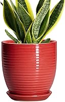 Vista 14 de Macetas de cerámica de 6 pulgadas para plantas, macetas de cerámica con orificio de drenaje y platillo, maceta para plantas de interior, maceta