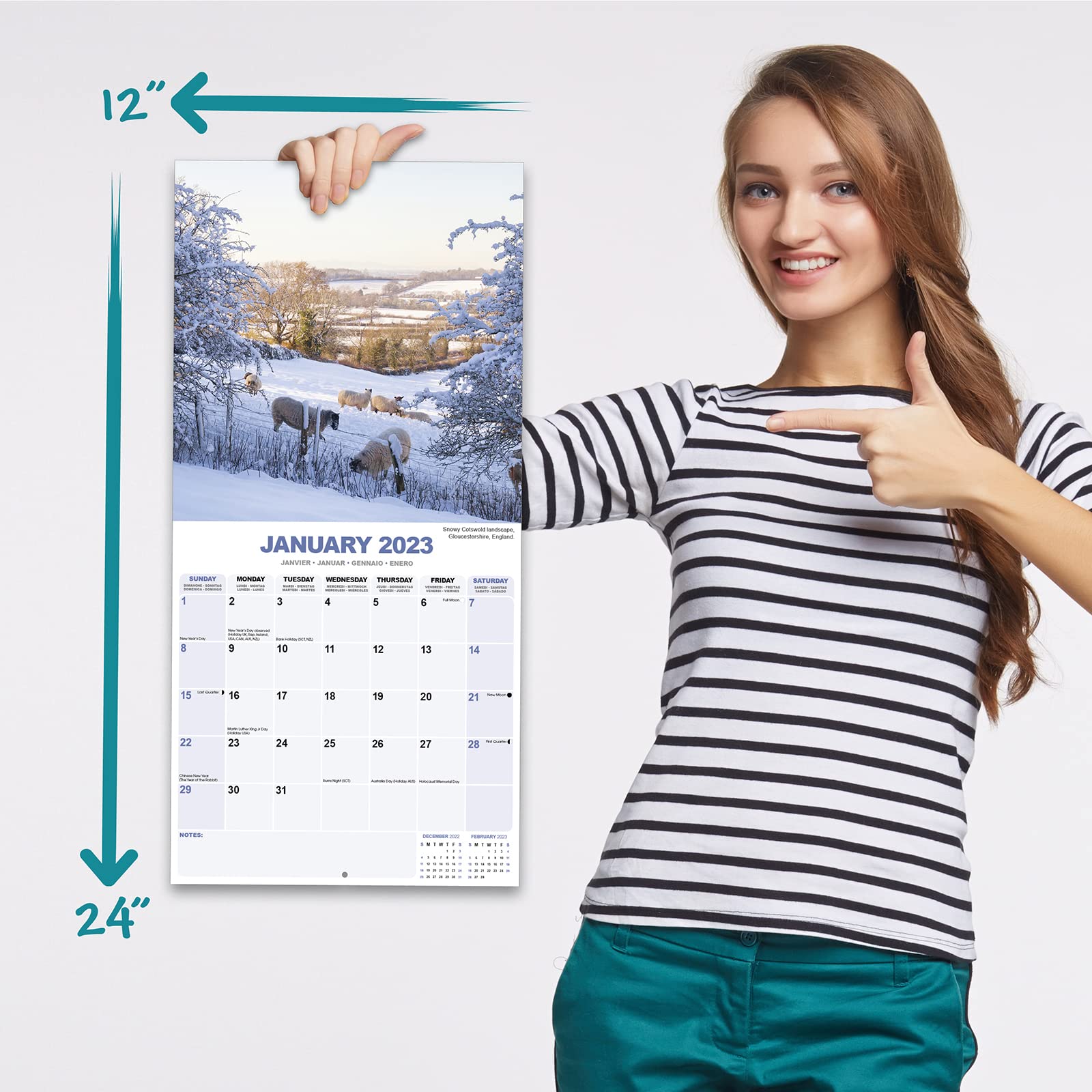 Seasons 2023 Wall Calendar