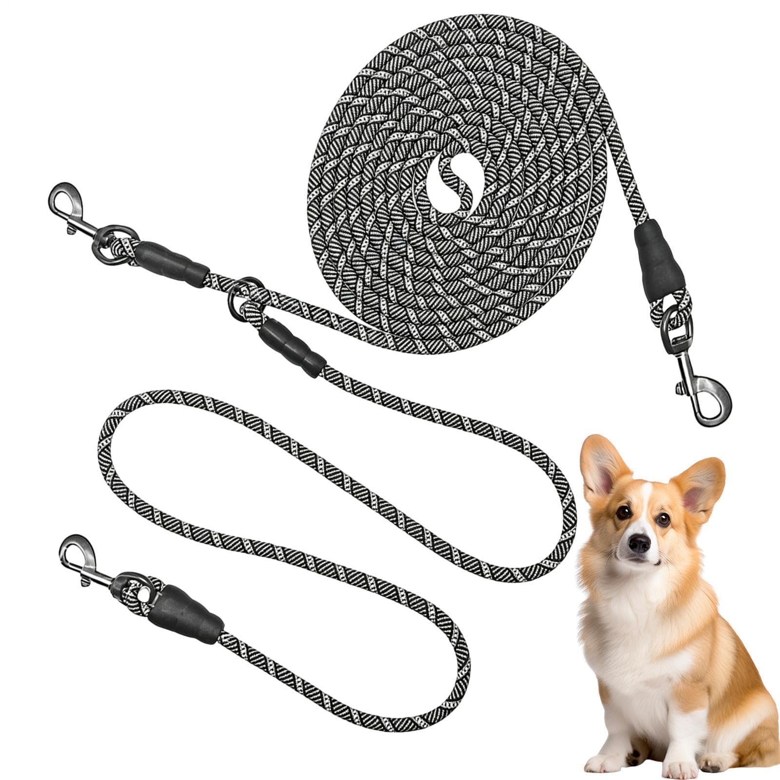 Longe laisses pour chien pour cour de 6m pour deux animaux