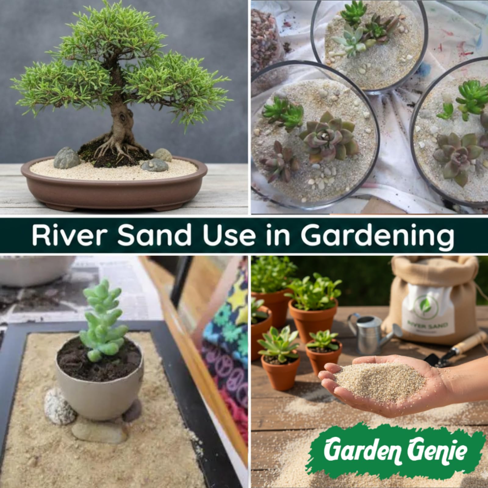 Garden Genie River Sand - For Plants, Aquariums & More -3