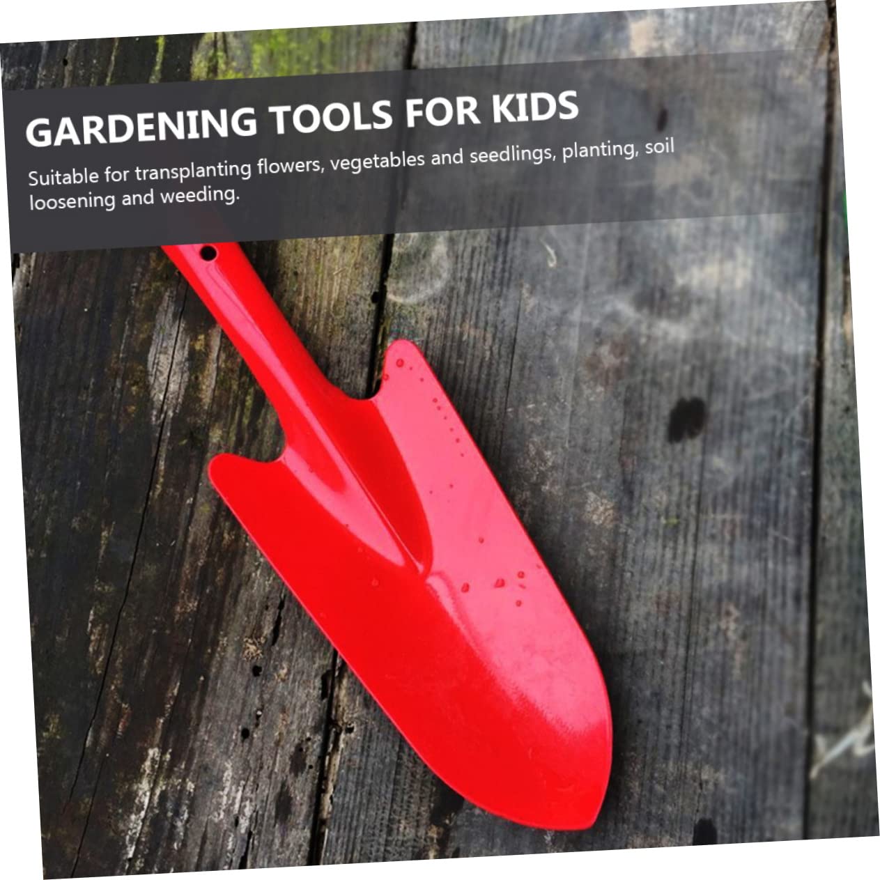 5 Stück Kleine Gartenschaufeln aus Eisen für Gartenarbeiten