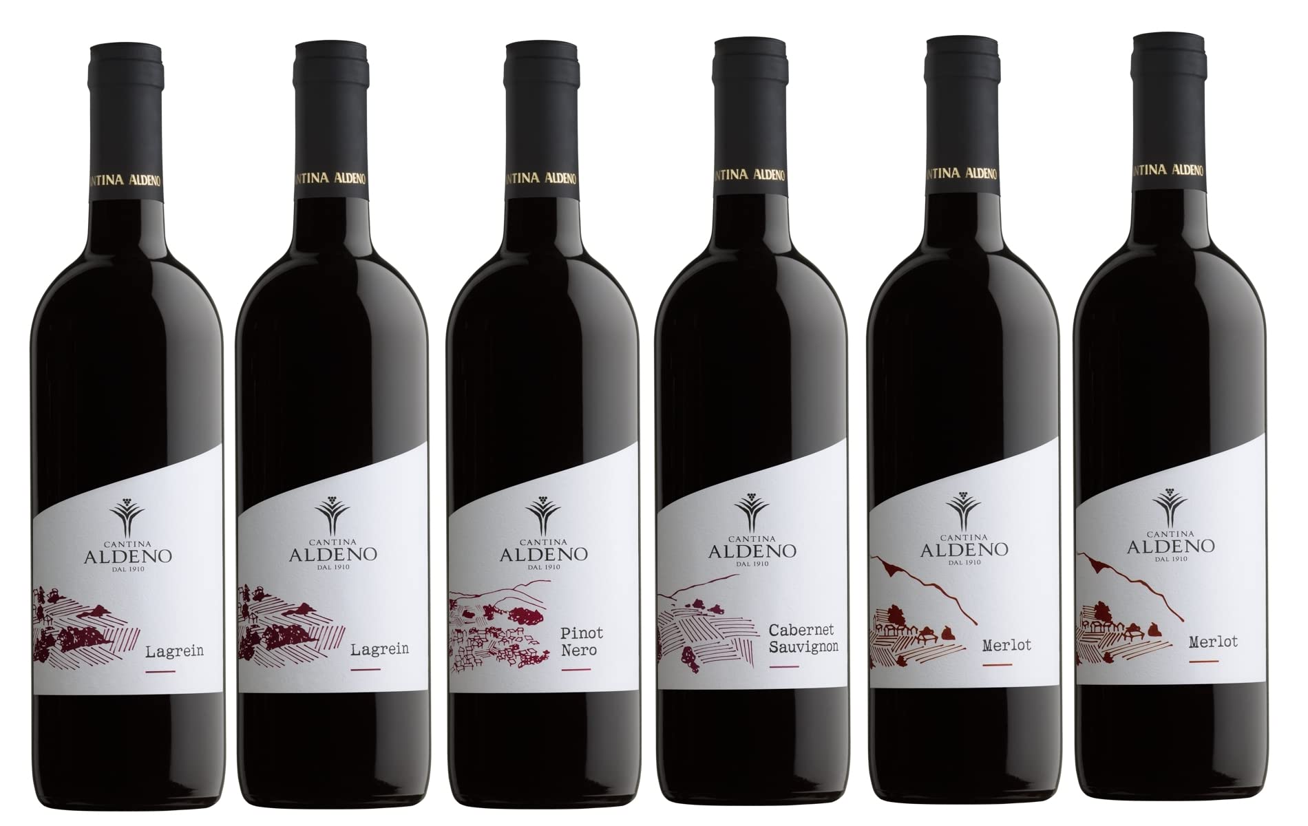 Confezione 6 bottiglie | 3 tipologie di Vino Rosso Vegano Bio Trentino DOC: 2 Lagrein | 2 Pinot Nero | 2 Merlot - Cantina Aldeno