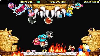 スノーブラザーズ スペシャル リミテッドエディション Amazon.co.jp: Snow Bros. Nick & Tom Special (輸入版:北米