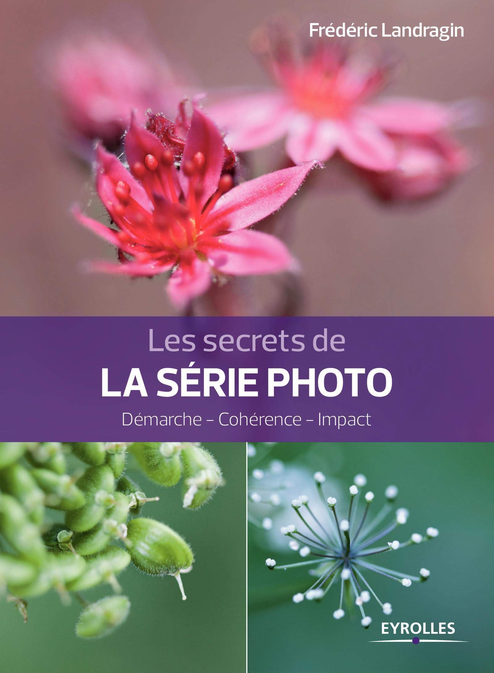 Les secrets de la série photo: Démarche - Cohérence - Impact.