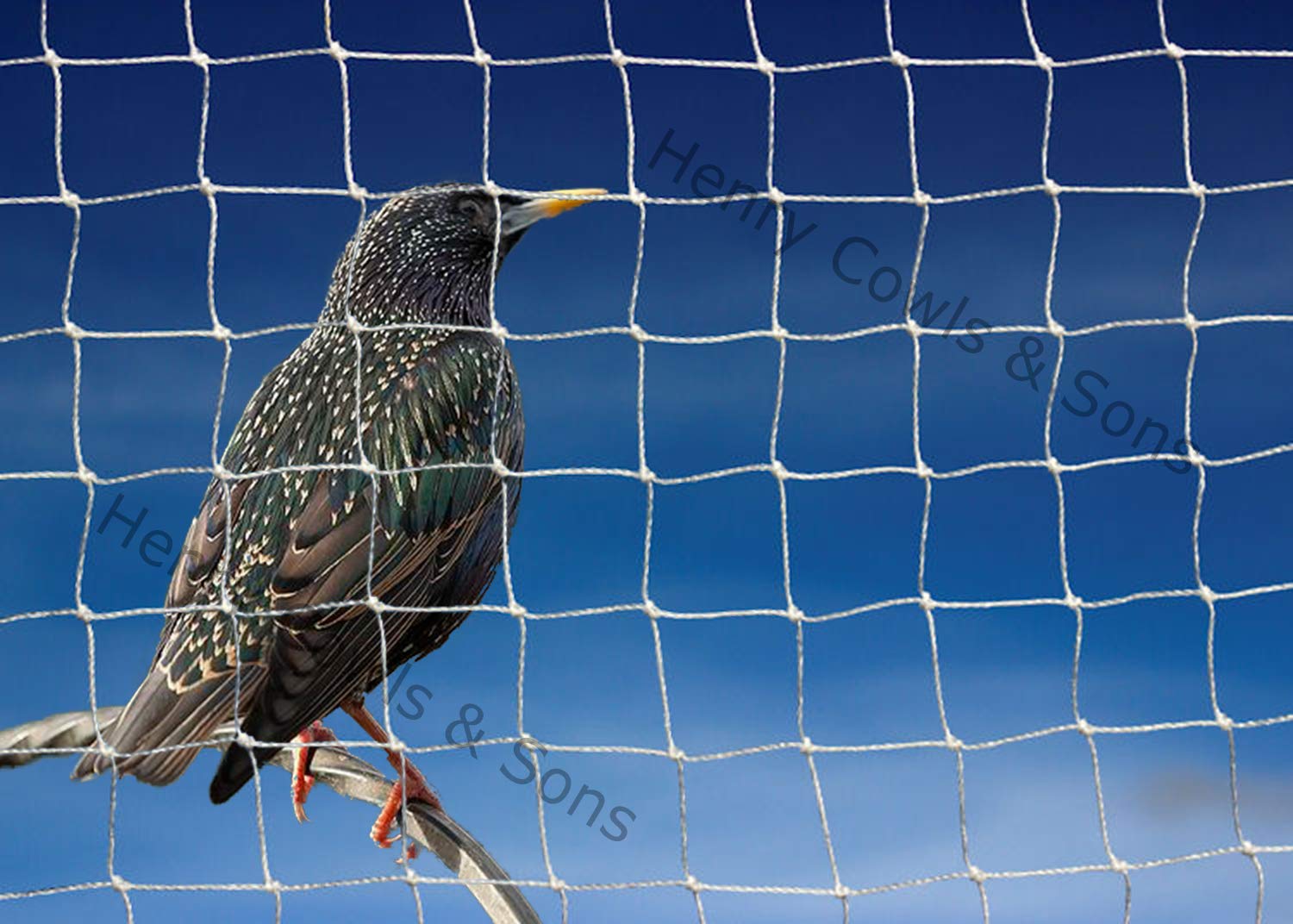 Bird Netting For the Garden 15m x 15m 28mm Anti Starling Knotted 1 1/8" Mesh Heavy Duty White Net