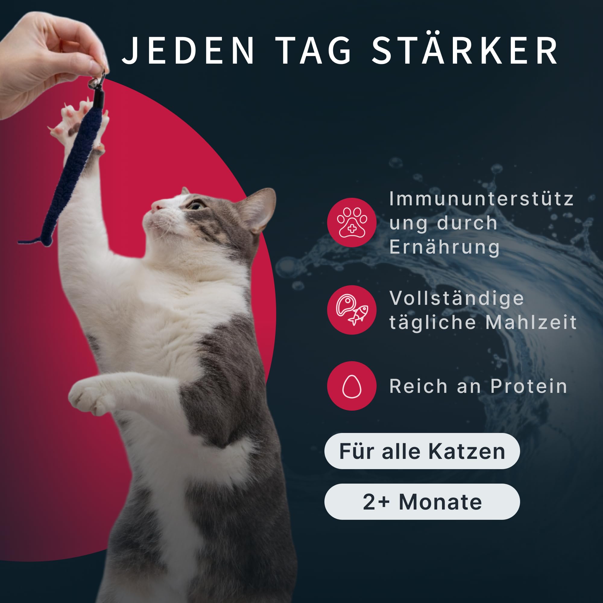Katzenfutter Nass Mousse Rind Thunfisch Unterstützung Gelenke (55g x 12Pack