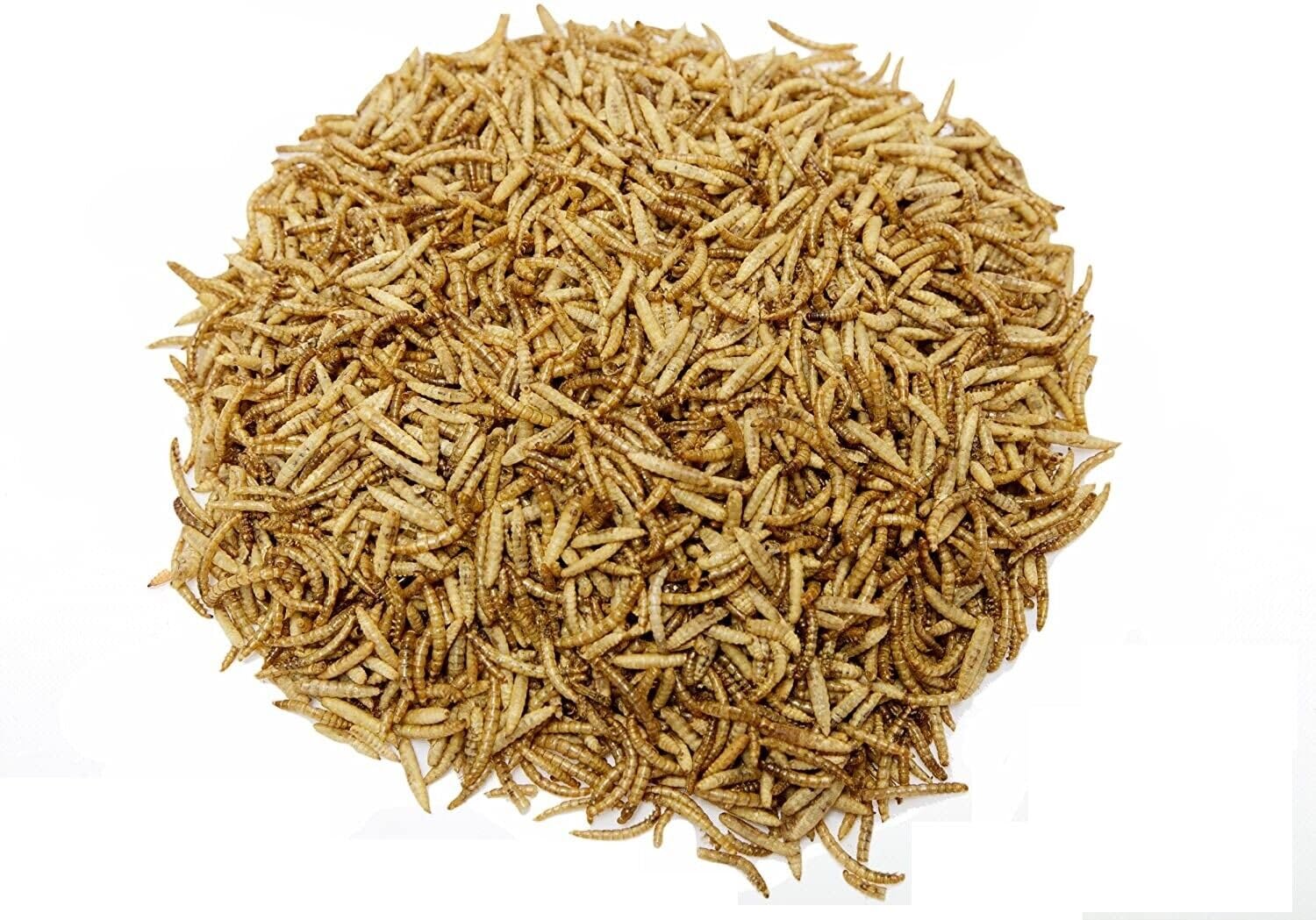 Superpet Dried Calciworms And Mealworm 50/50 Mix Birds For Fish Hedgehogs And Many More (12.55Kg)