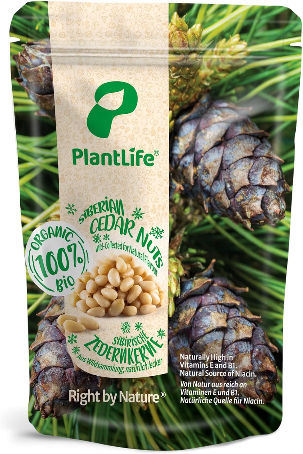 PlantLife Organic Cedar Nuts 400g Raw, Wild and Natural Siberian Pine
