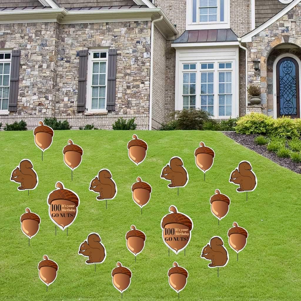 VictoryStore Yard Decorations: It's Your Birthday Go Nuts! 100th Birthday Decoration with 22 stakes