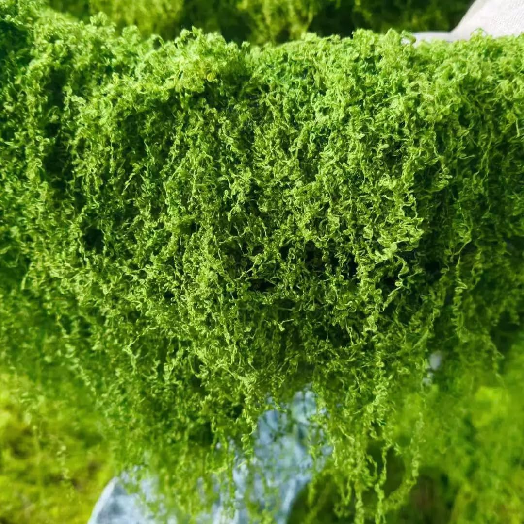 View 4