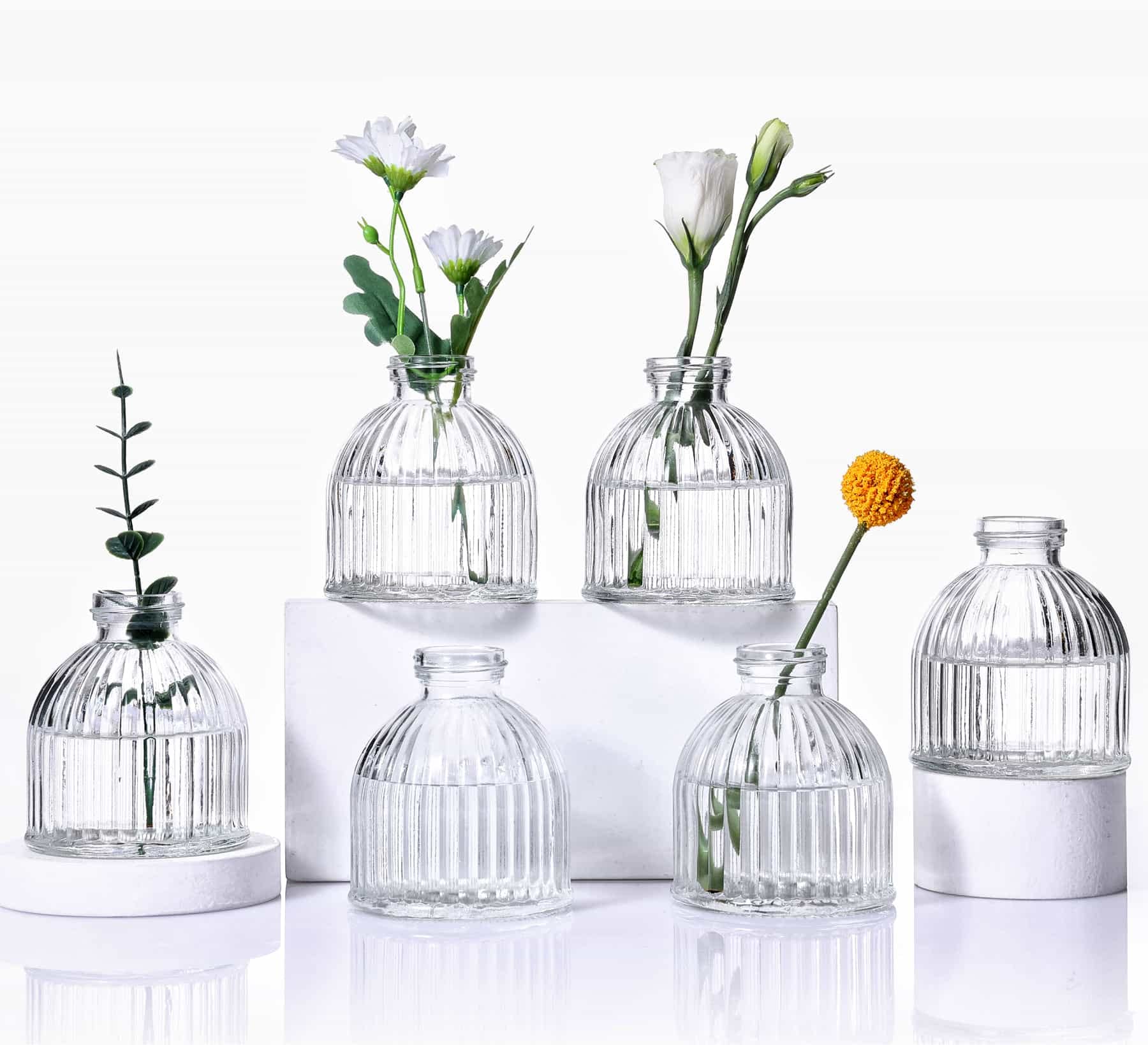 Eidoct Glass Bud Vases Set of 6