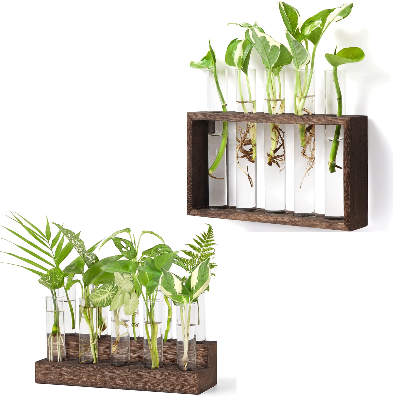 Amazon.com: Mkono Wall Hanging Glass Planter Plant Terrarium Wood Stand ...