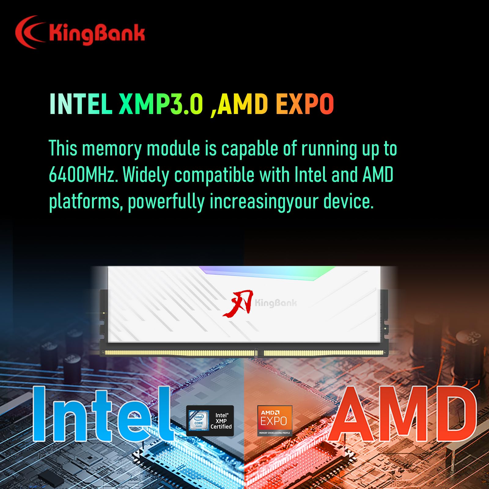 Hynix DDR5 96GB RAM Kit - 2x48GB 6400MT/s CL32 RGB Gaming Memory