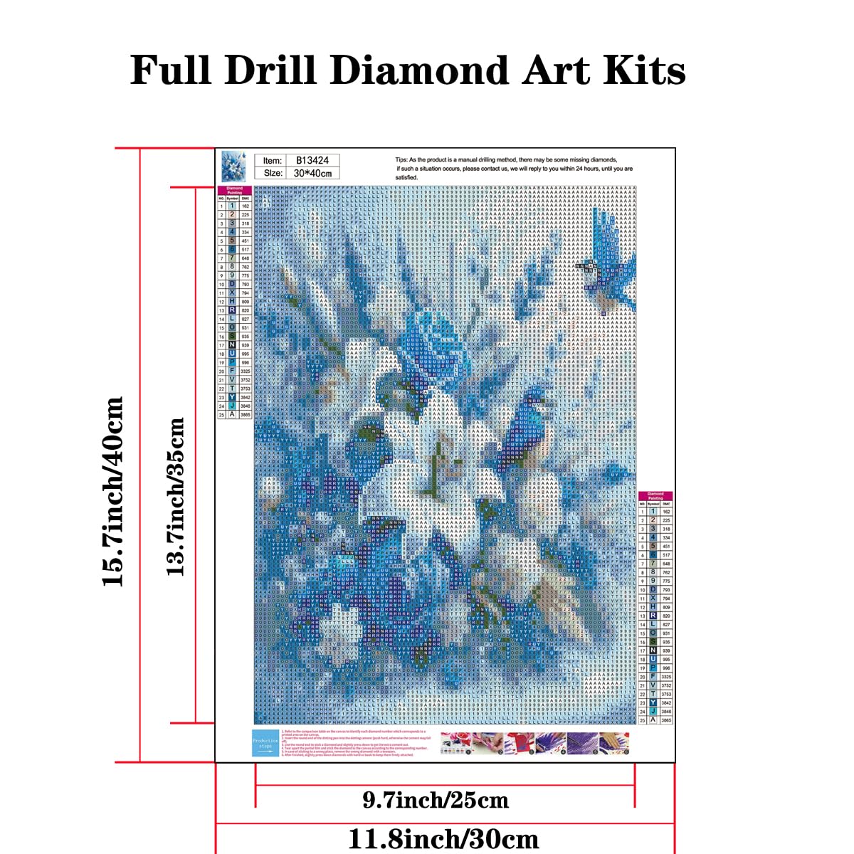SOIOEOR 5D Owl Diamond Painting Kits The Fascinating Owl in The Mirror for Adults, Full Round Diamond Art Craft for Home Wall Decor Gifts 12x16 inch