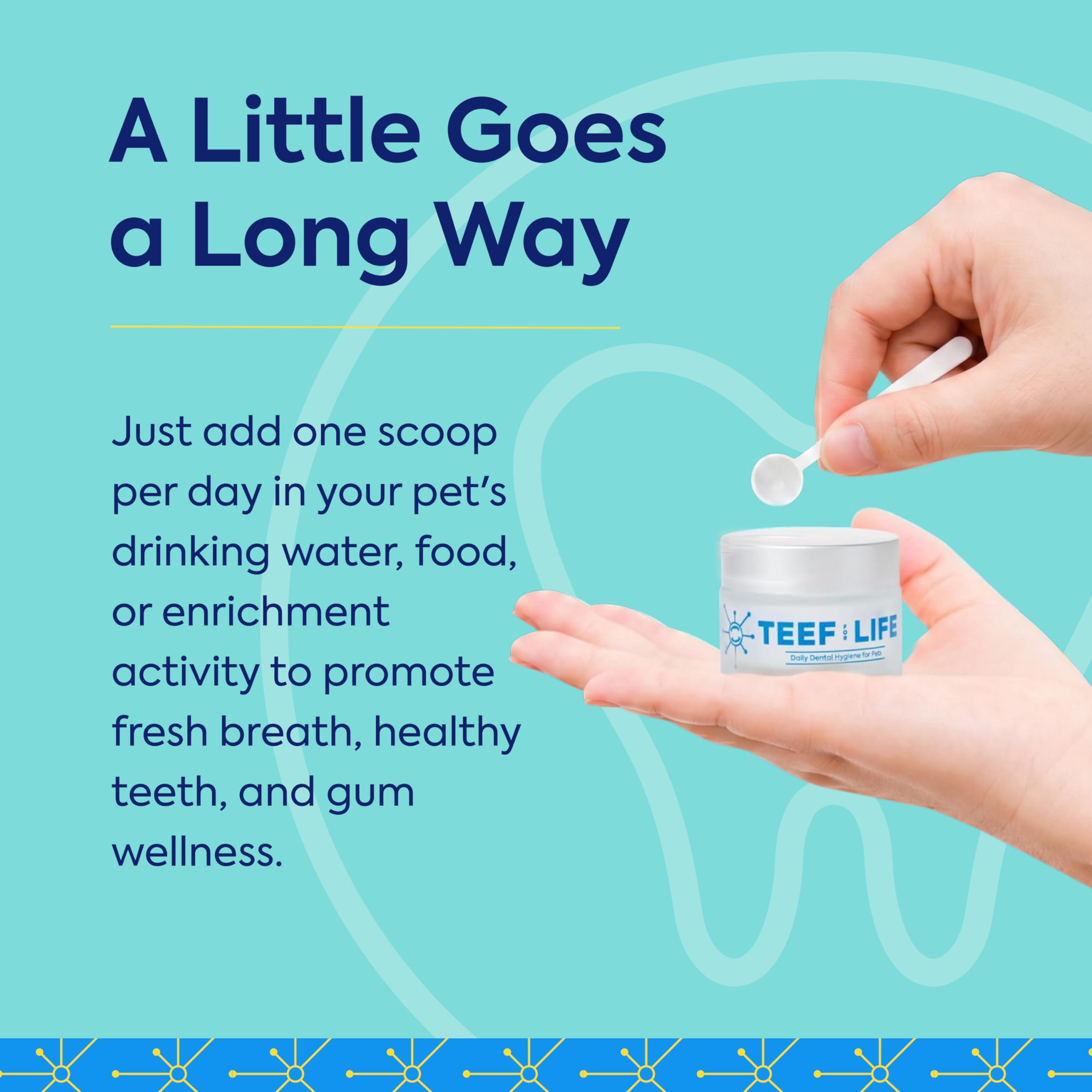 TEEF! Protektin42+K Cuidado dental diario derivado de plantas para todas las mascotas (sin sodio), aditivo de agua dental, combate naturalmente la placa y el sarro, kit dental con 90 porciones de por
