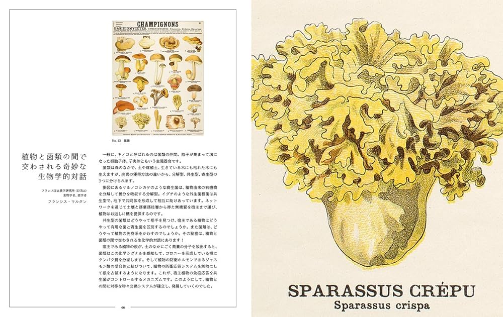 デロールの理科室から 美しい掛図と科学考察 デロールの理科室から 美しい掛図と科学考察 | ルイ＝アルベール
