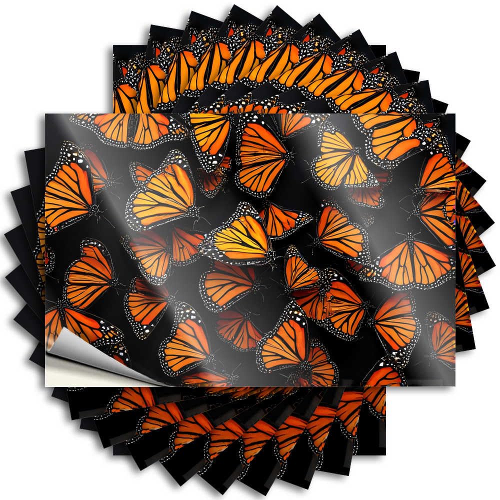Decal - Unique Cover Colorful Butterflies On Black Background for Teacher Front Porch Decor Farmhouse(8X12CM)