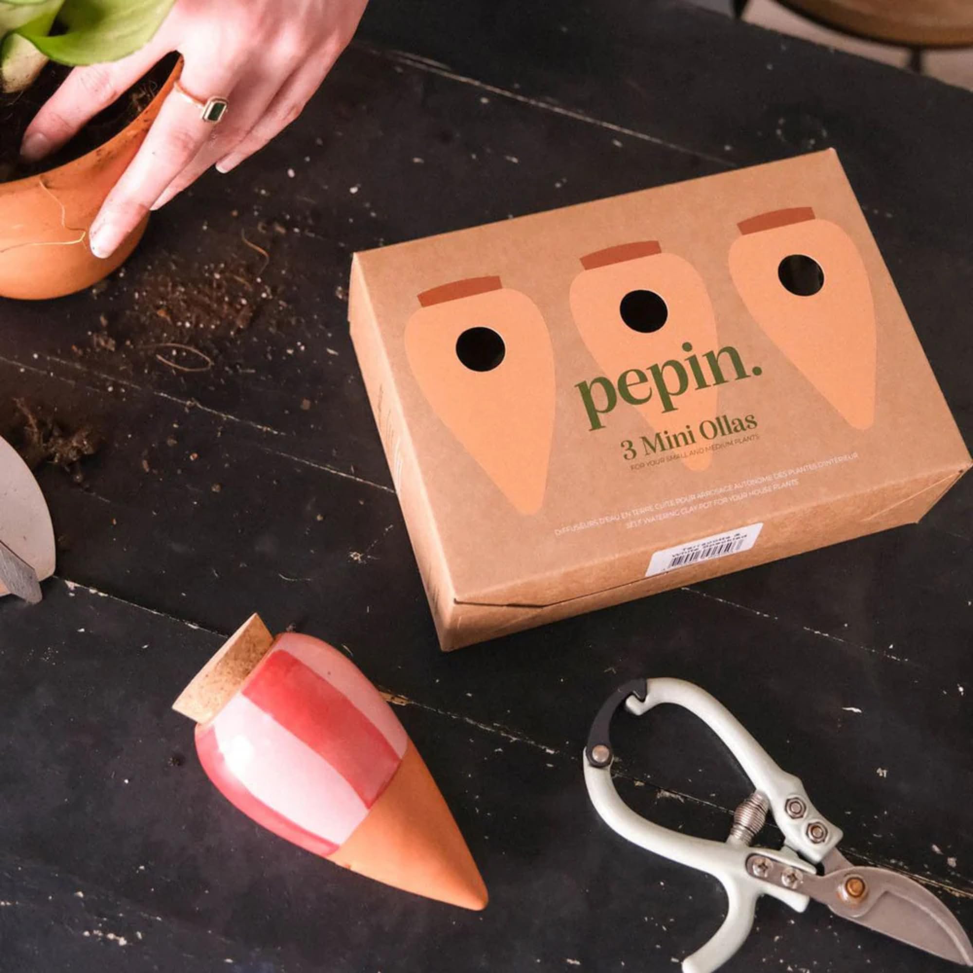 Pepin | 3X Mini Ollas Rayés | Oyas A Planter Terre Cuite | Arrosage Automatique et Ecologique pour Plante d'Intérieur et d'Extérieur | Système d'Irrigation Naturel | Mini Oyas Terracotta - 12cl