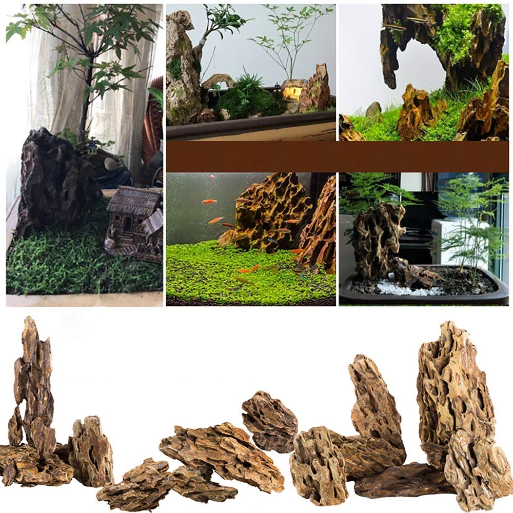 VAYINATO® Dragon Rock for Planted Aquarium Aqua scaping Hardscape Decoration Natural Rocks (5Kg) by Petzlifeworld (B09P51VSM1) Amazon Price History, Amazon Price Tracker