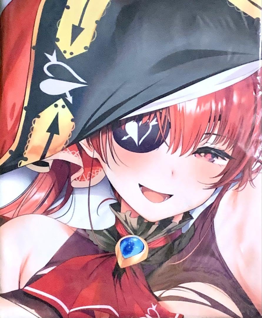 取引用 ポスターについて マリン様 Amazon.co.jp: 宝鐘マリン 抱き枕カバー 丸新 関西漁業協同組合