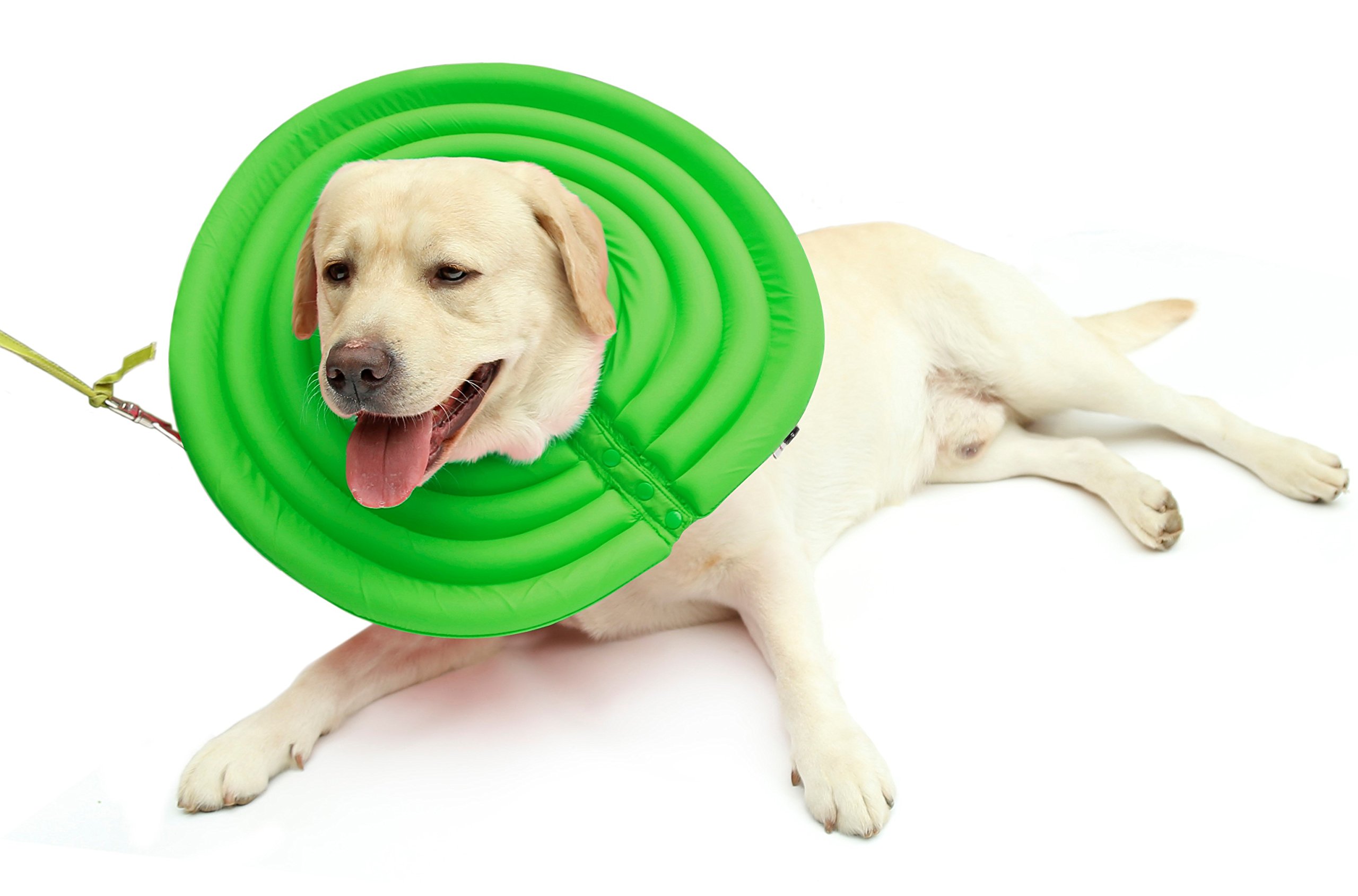 UsefulThingy Dog Recovery Collar Soft Comfy Cone E-Collar Anti-Bite/Lick  for Cats Too, Quicker Healing After Surgery Sizes, Colors