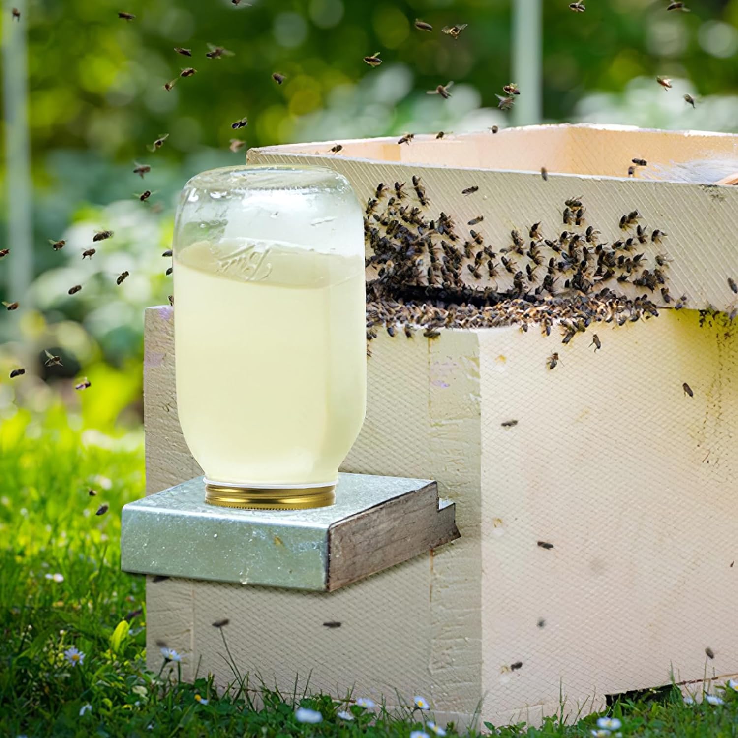 Bee Feeder Lids for Mason Jar- 8pcs Metal Bee Feeders Entrance Beehive Lid- Beehive Waterer for Beehive Water or Sugar Syrup Feeding Equipment - Image 8