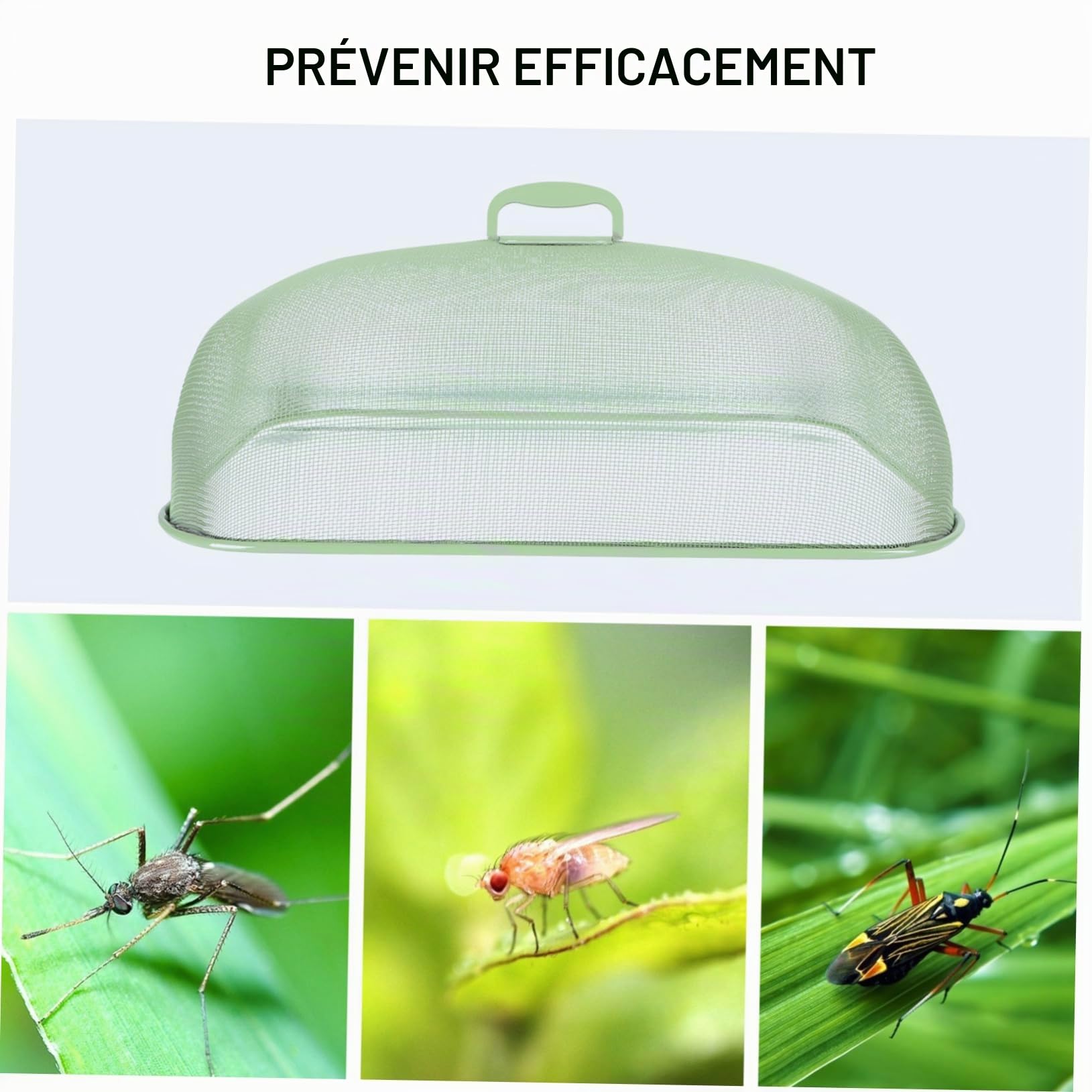 Couverture Alimentaire Créative en Fer Vert, Protection et Conservation