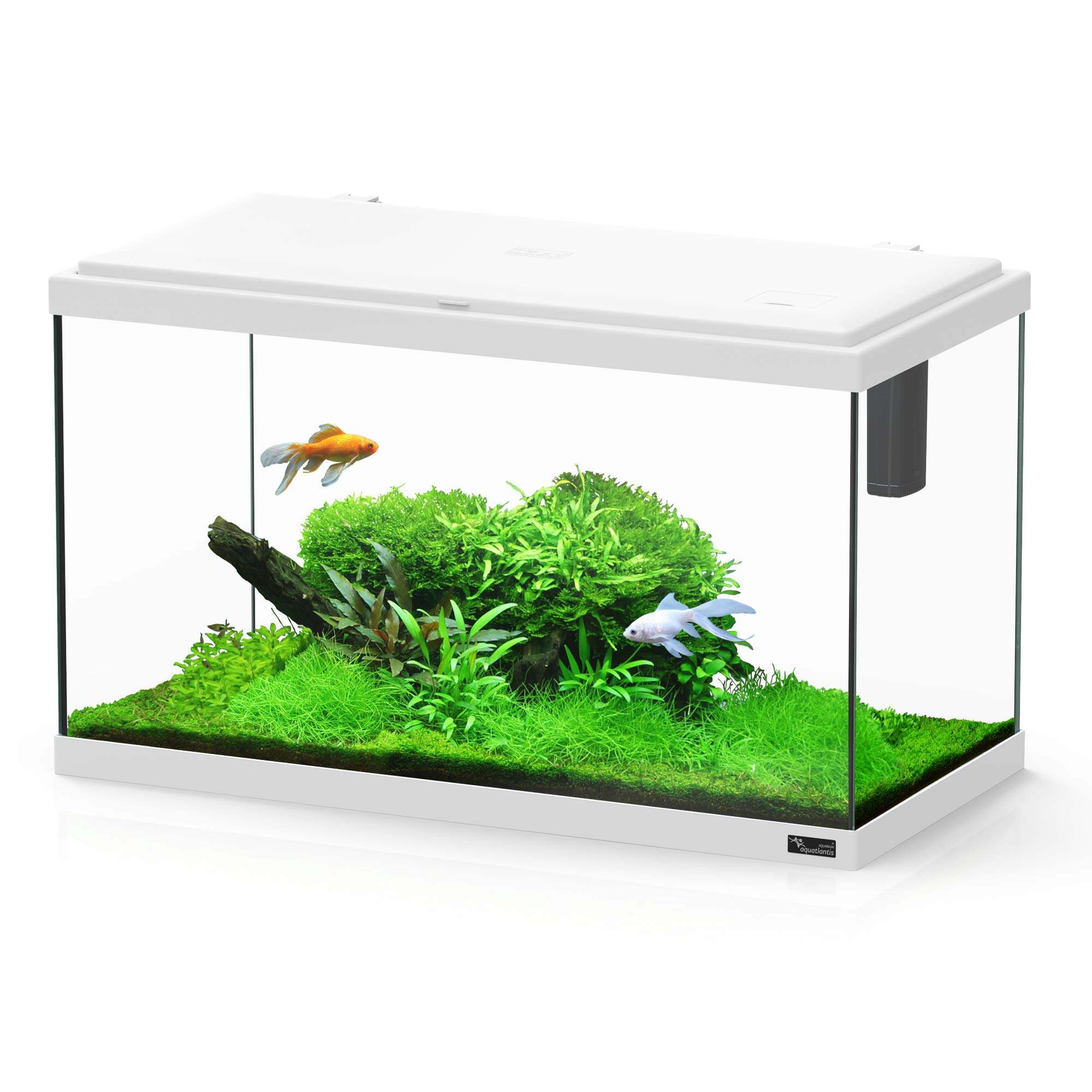 für Aquaristik Blanco weiß