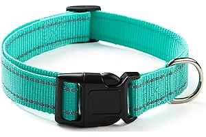 Reflective Turquoise Collar: Safety and Style for Your Canine Companion