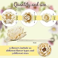 Vista 2 de Waydress 15 Piezas Difusor Flores Sola Mixtas Material Natural Aromaterapia Varillas Flores de Madera Decorativas Aromaterapia Colocación de Flores