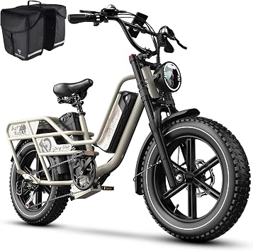 1500W Electric Bike for Adults,48V 20/25/60Ah Removable Battery Max Range 80Miles Electric Bicycle,204" Fat Tire Ebike,Adult Electric Bicycles for Commute Beach Snow,E-Bike UL Certified