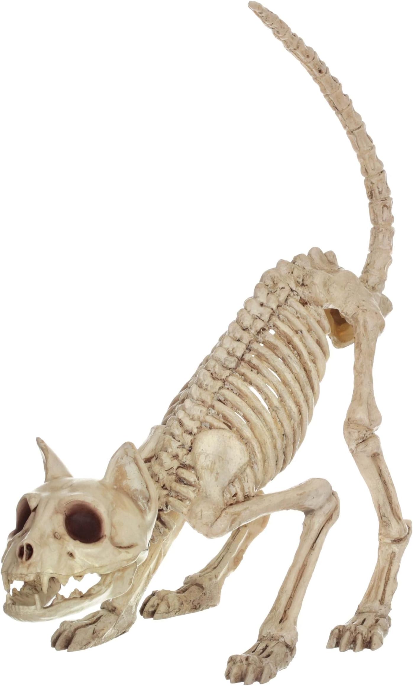 Crazy Bonez Skeleton Cat - Lil' Kitty Bonez