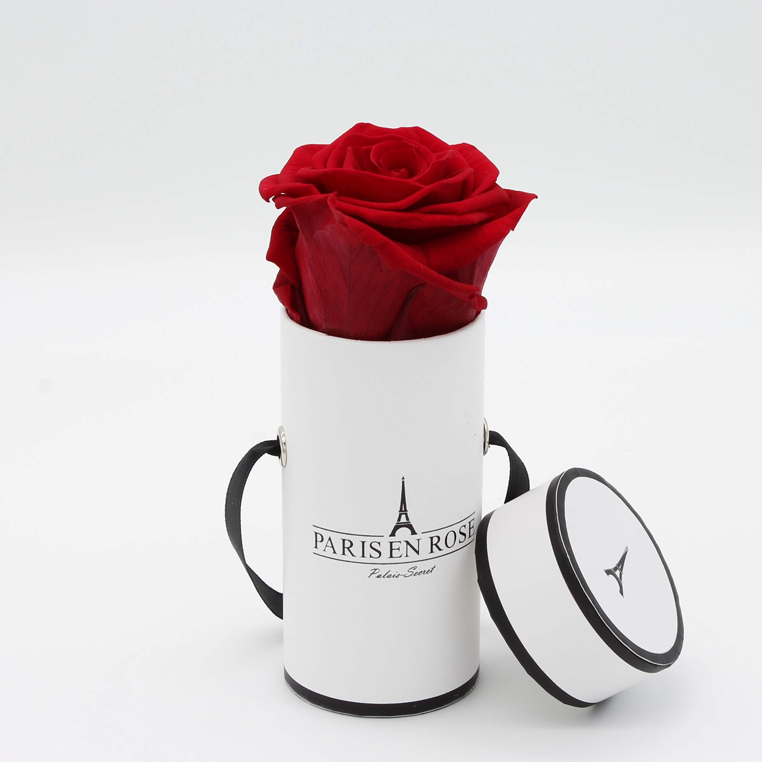 PARIS EN ROSE Rosenbox Mit 4 Infinity Rosen Bordeaux - Ewige Rosen 3 Jahre Haltbar