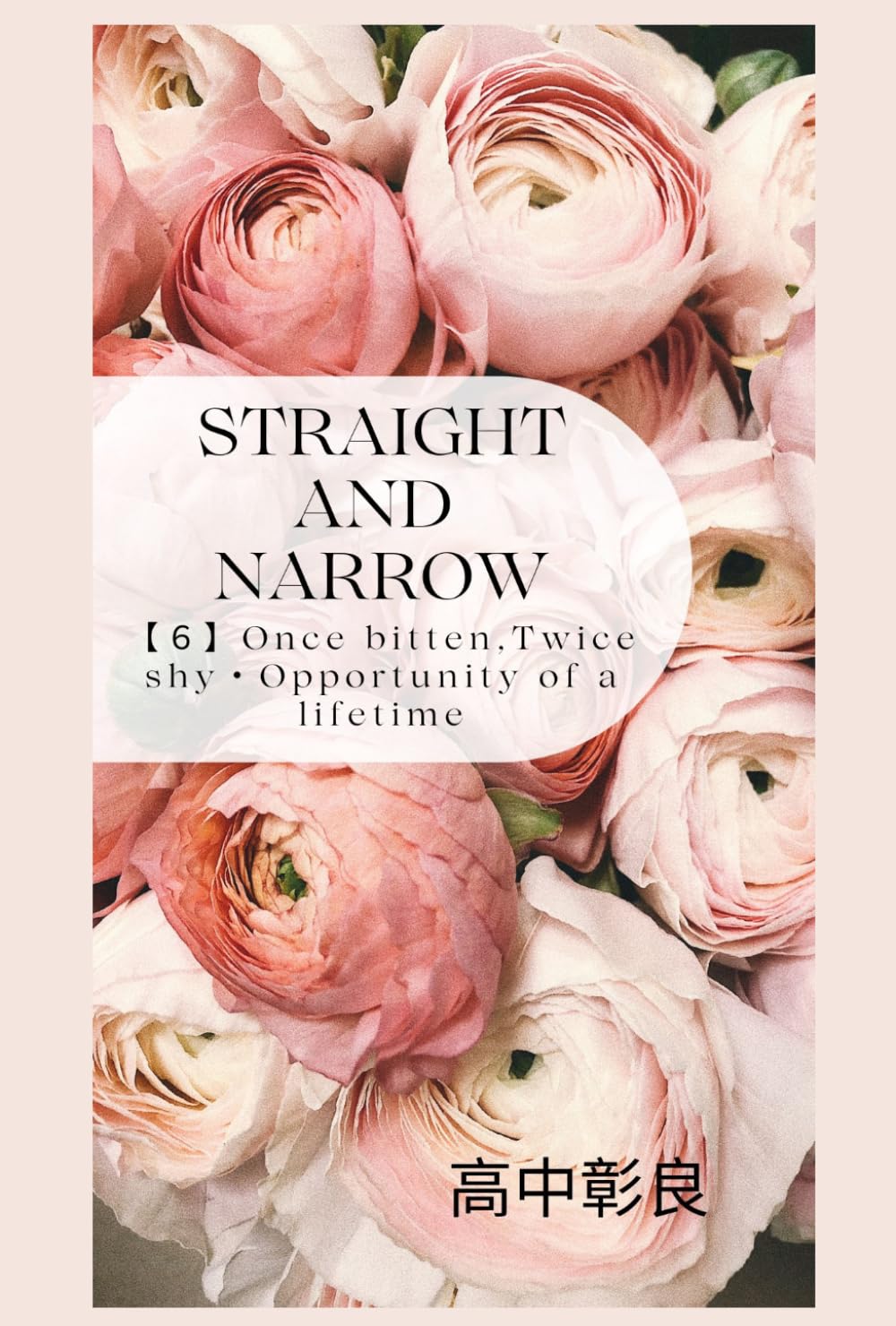 Straight and Narrow 【６】Once bitten,Twice shy・Opportunity of a lifetime