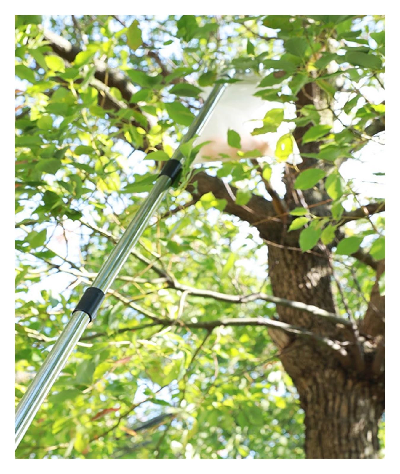 Obstpflücker, Edelstahl-Obstpflücker-Teleskopstange for Apfel, Mango, Orange, Verschiedene Größen | 2M