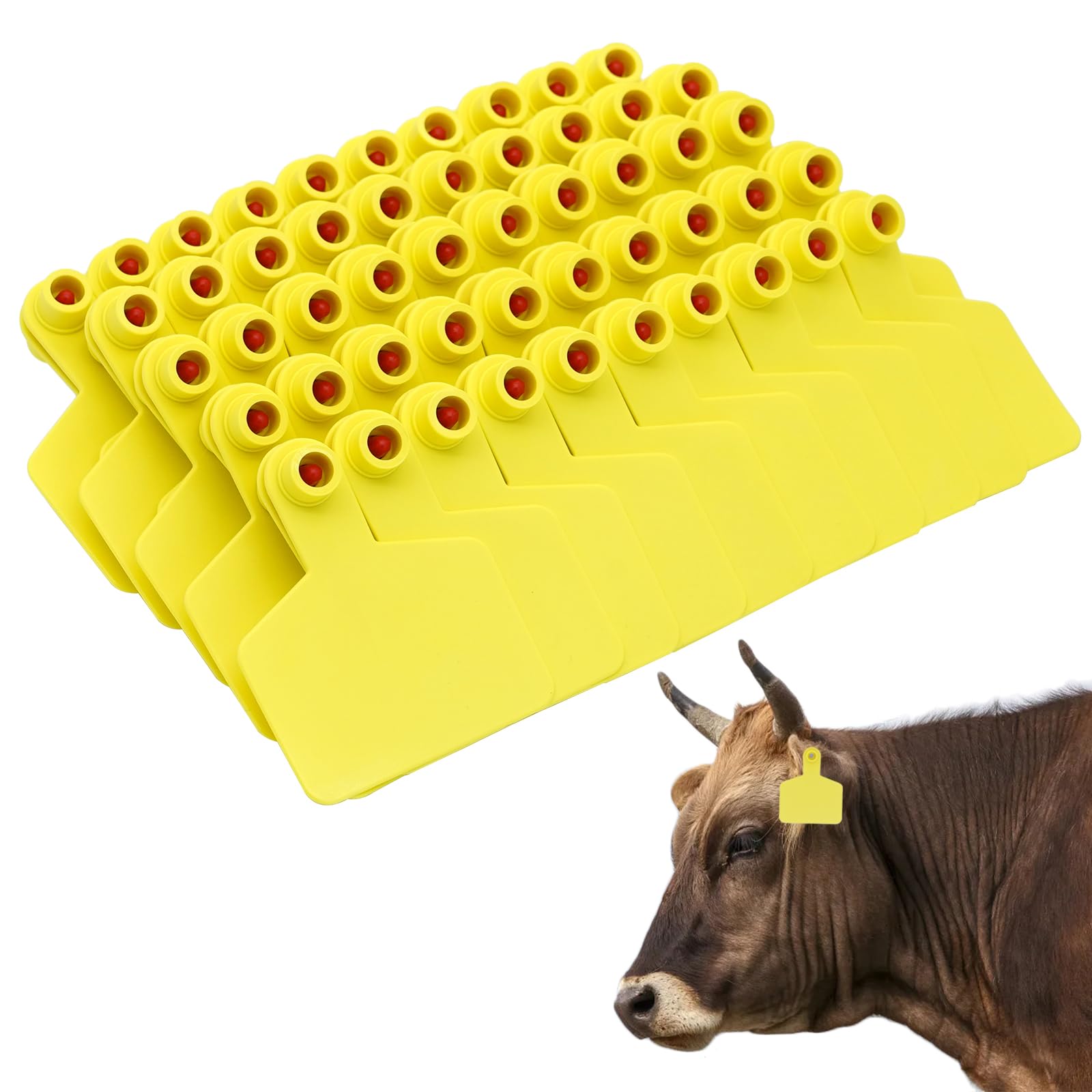 100PCS Blanko-Ohrmarken für Kuh TPU Rinder Ohrmarken Tier Identifikationskarte für Schafe Ziegen Kühe Rinder Kalb Schweine Farm